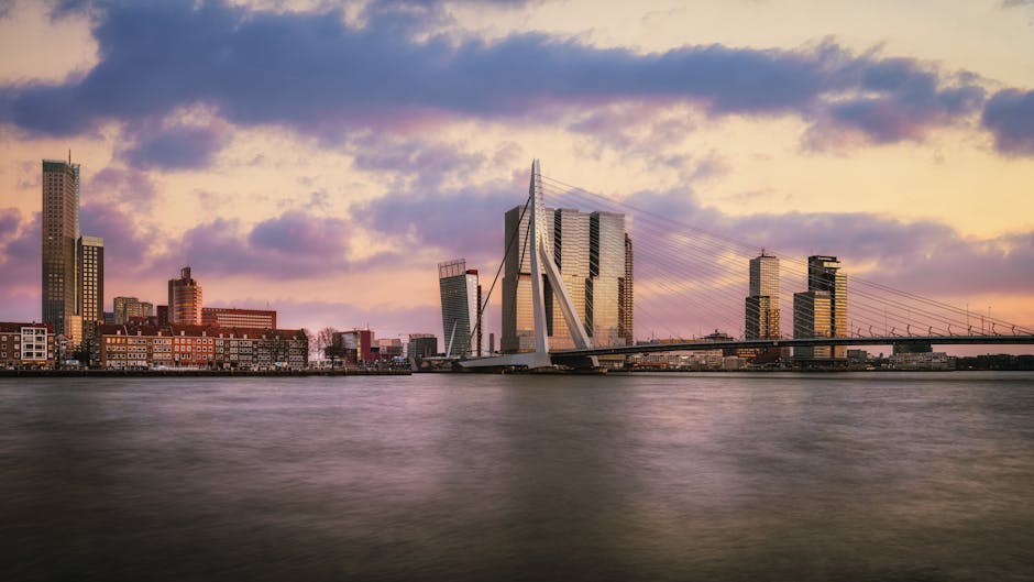 Canvas kopen in Rotterdam: waarom lokaal kunst verzamelen trending is