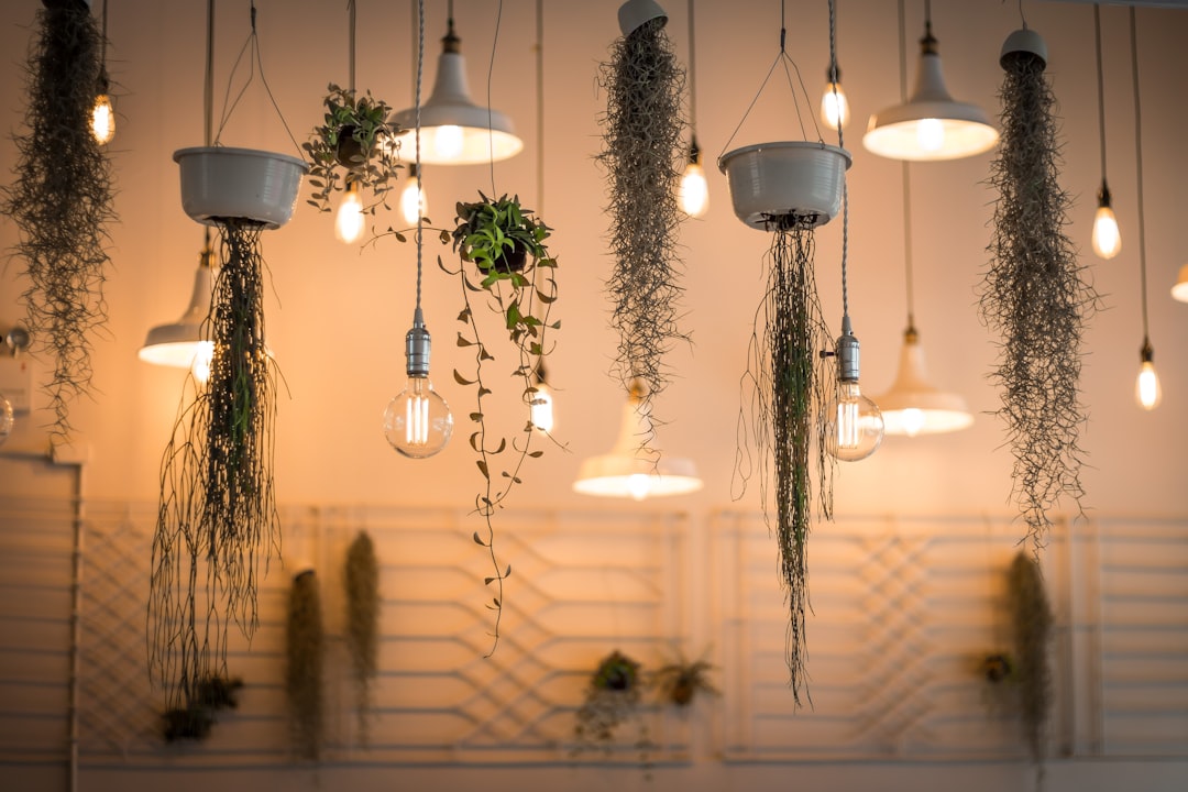De opkomst van slimme plantenverlichting voor binnenshuis