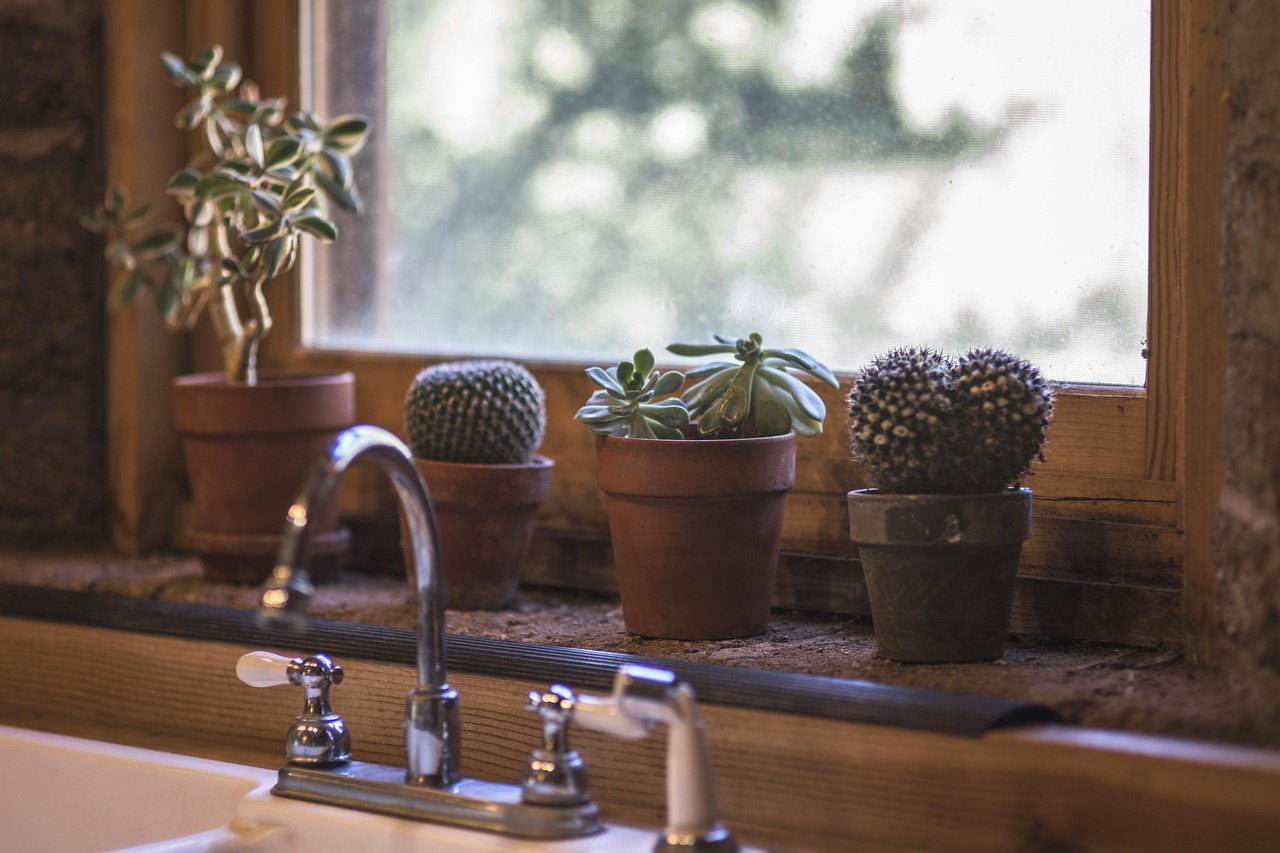 Minimalistische woonkamer met zen natuurelementen Minimalistische woonkamer met zen natuurelementen