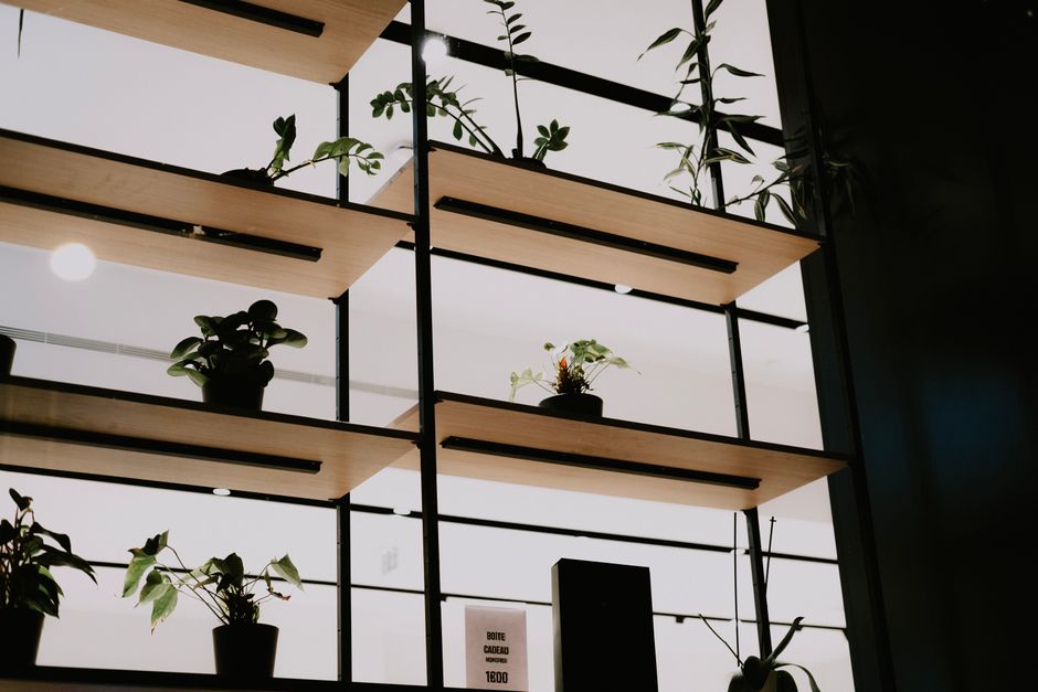 Rustieke charme: planten als de natuurlijke scheidend voor een rustiger huis