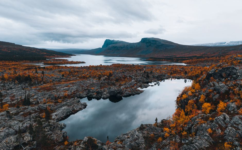 Plaatselijke zen-natuurelementen integreren voor een herfstvertrait