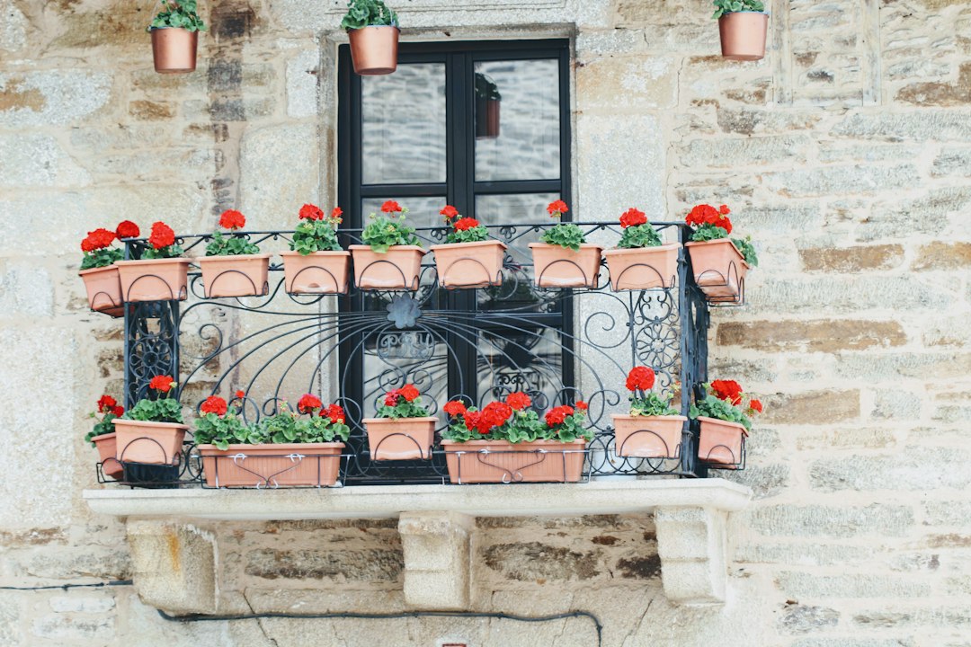 Herfstproof balkon: pluimdecoraties zonder onderhoud